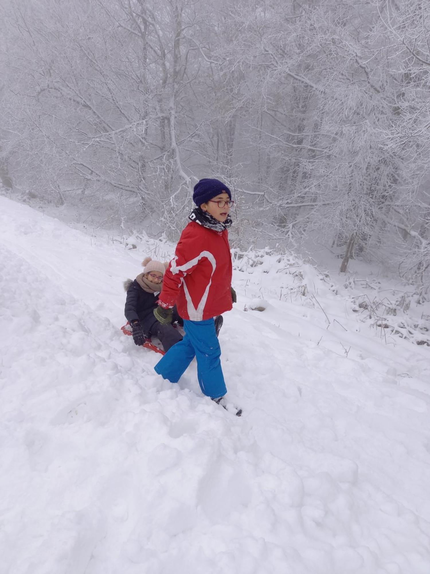 L'Abri Daire La-Roche-en-Ardenne Dış mekan fotoğraf