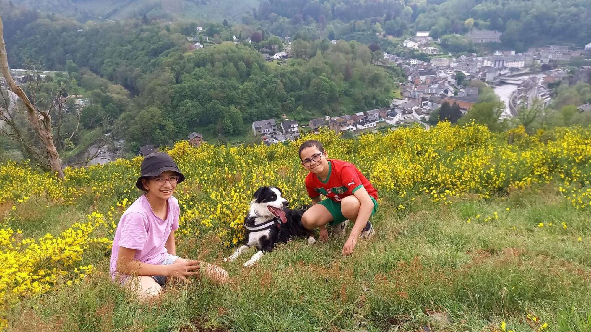 L'Abri Daire La-Roche-en-Ardenne Dış mekan fotoğraf